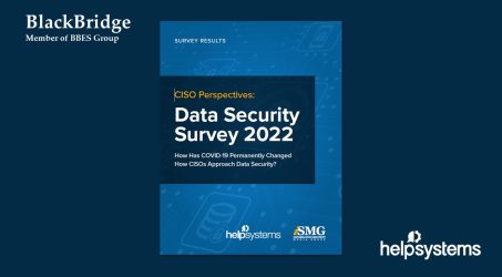 HelpSystems_Data_Security_Survey_2022