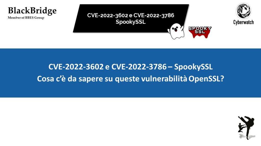 CVE-2022-3602eCVE-2022-3786-SpookySSL.