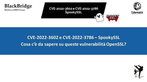 CVE-2022-3602 e CVE-2022-3786 – SpookySSL