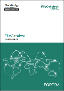 FIleCatalyst Datasheet ITA FORTRA