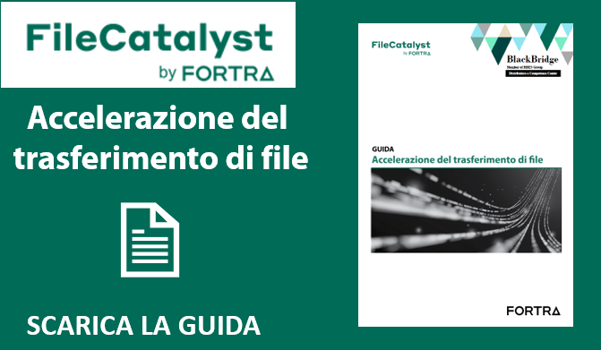 Guida Accelerazione del trasferimento file - FIleCatalyst